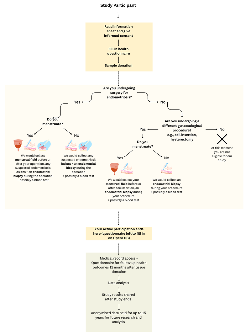 Study flow diagram_V2 (2).png