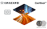Rectangle 4199 (1).png