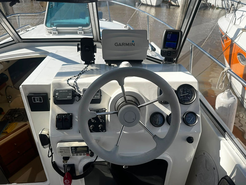Miniatura: CRUCERO MAMBA 25