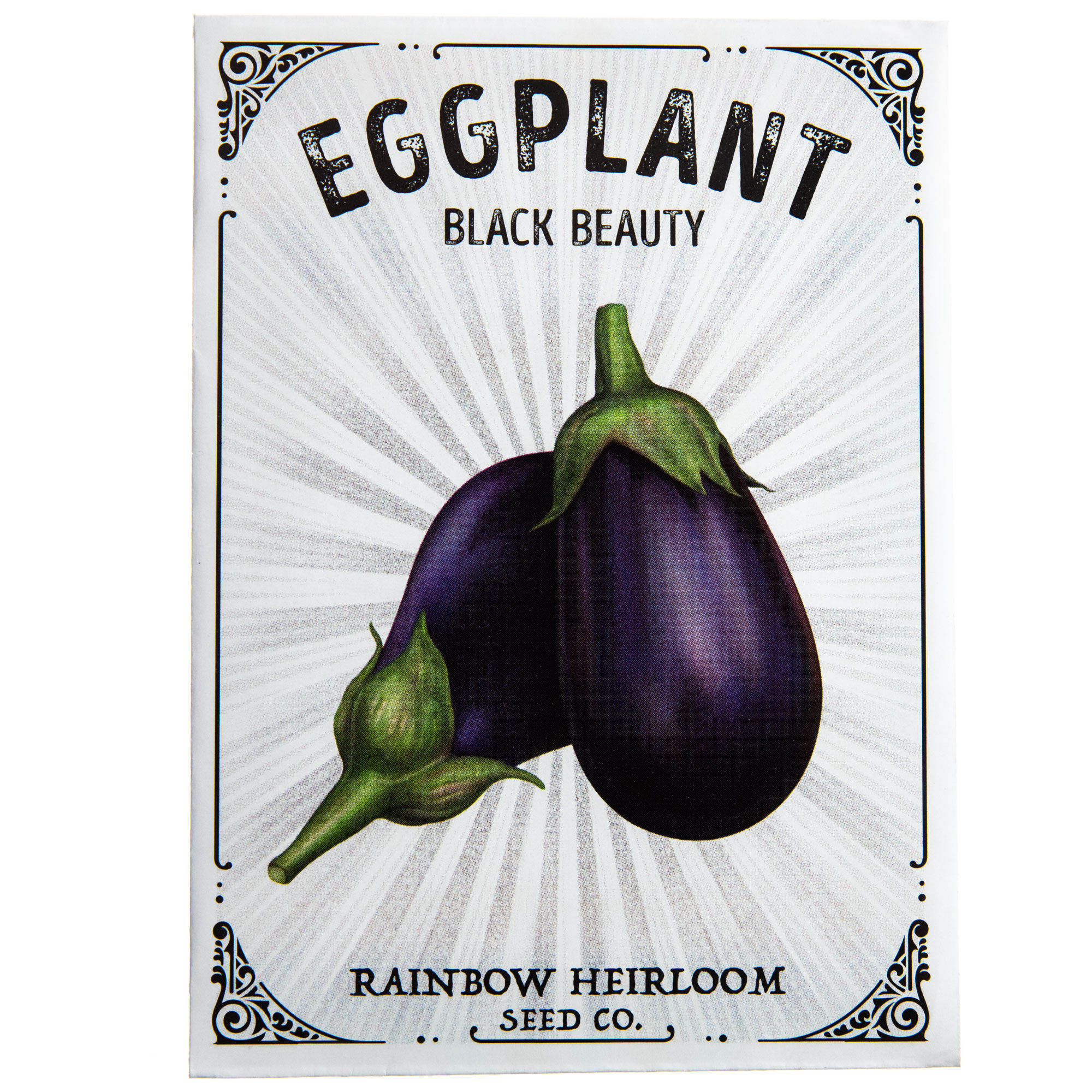 Eggplant Seeds - Black Beauty Variety