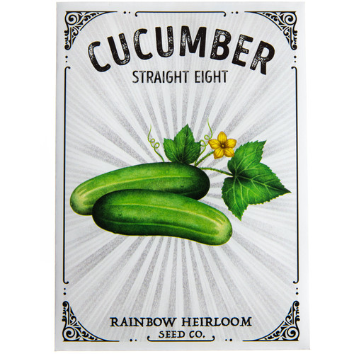 Cucumber Seeds - Straight Eight Variety | Rainbow Heirloom See