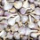 Thumbnail: Garlic Seed - German Extra Hardy Variety