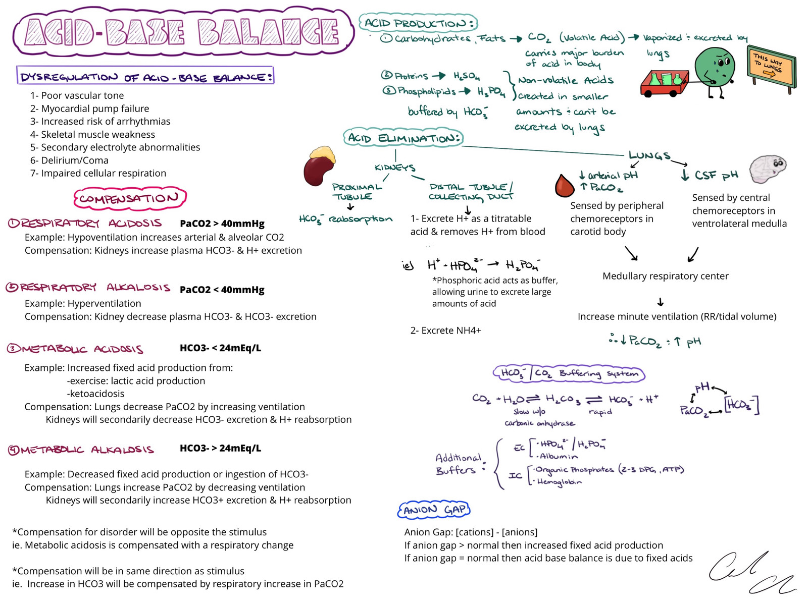 Acid Base Balance
