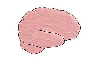 Neuro.jpg