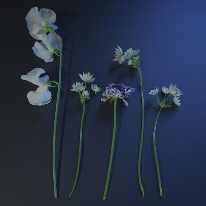 サムネイル： Flower Gift Ticket～5000円　iselyセレクトの花瓶＆季節の切花3回お届け～Petit