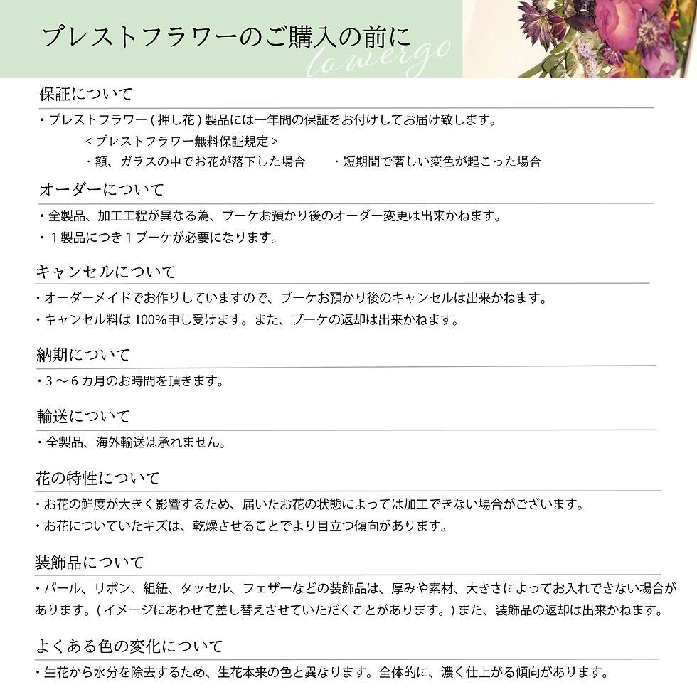 サムネイル： Dodi ドディ