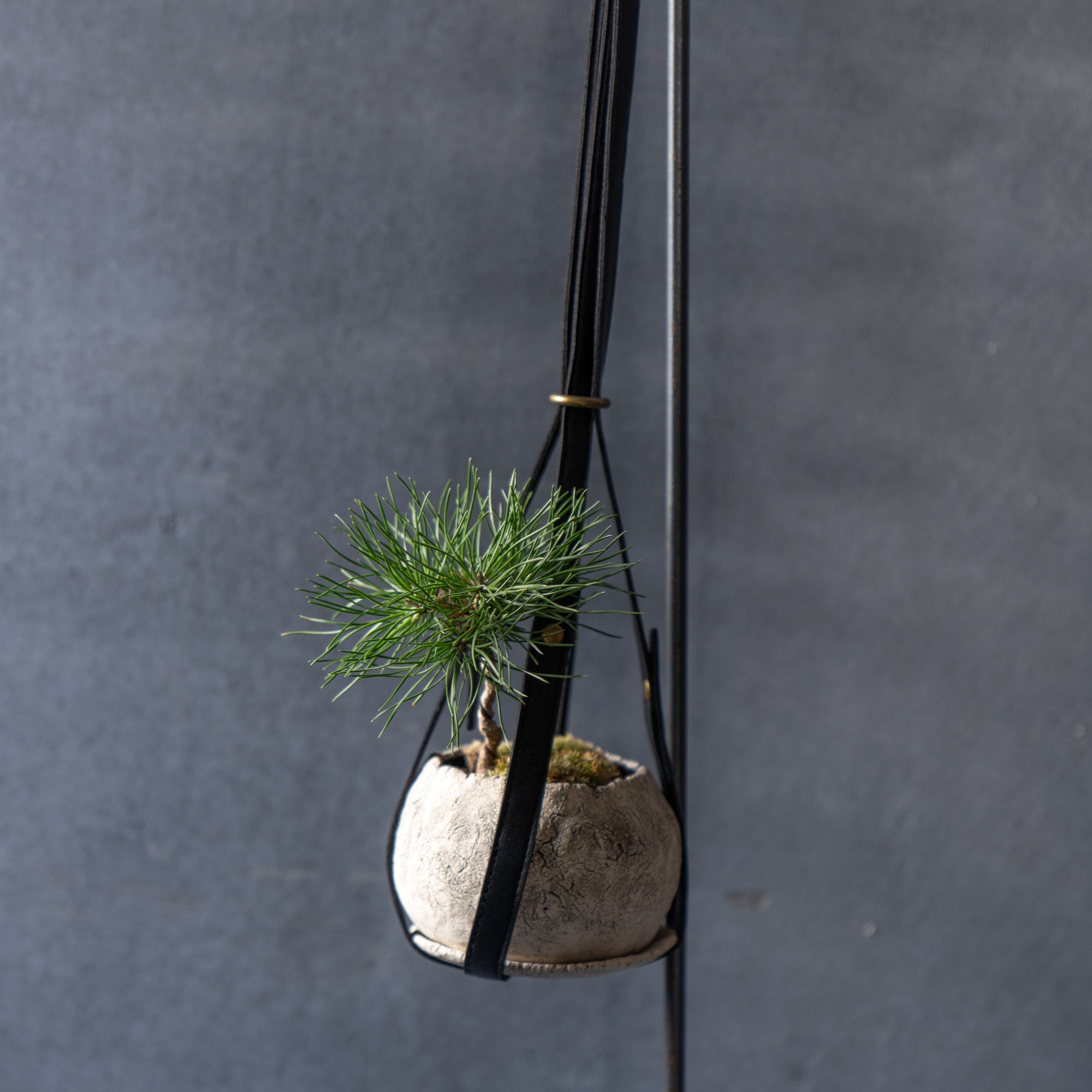 ハンギングベルト〈オプション〉