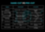 Comparison chart of "HAND-CUT VS PRE-CUT" PPF. Lists categories: appearance, speed, skill needed, safety, removal, customization, and availability.