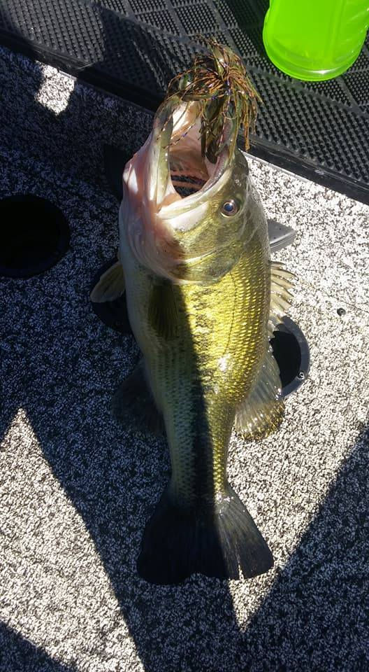 Candy Craw Flippin Jig