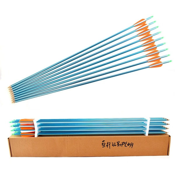 copy of 12pcs/lot 30Inches Archery Arrow Aluminum Arrow Spine 300 with Changable