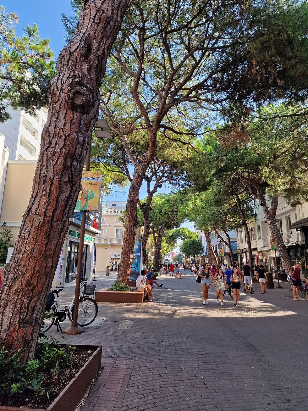 Città Brand: l'identità di Riccione tra turismo e lifestyle