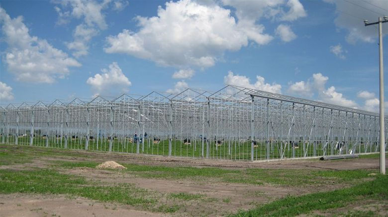 Venlo Greenhouse (Standard)