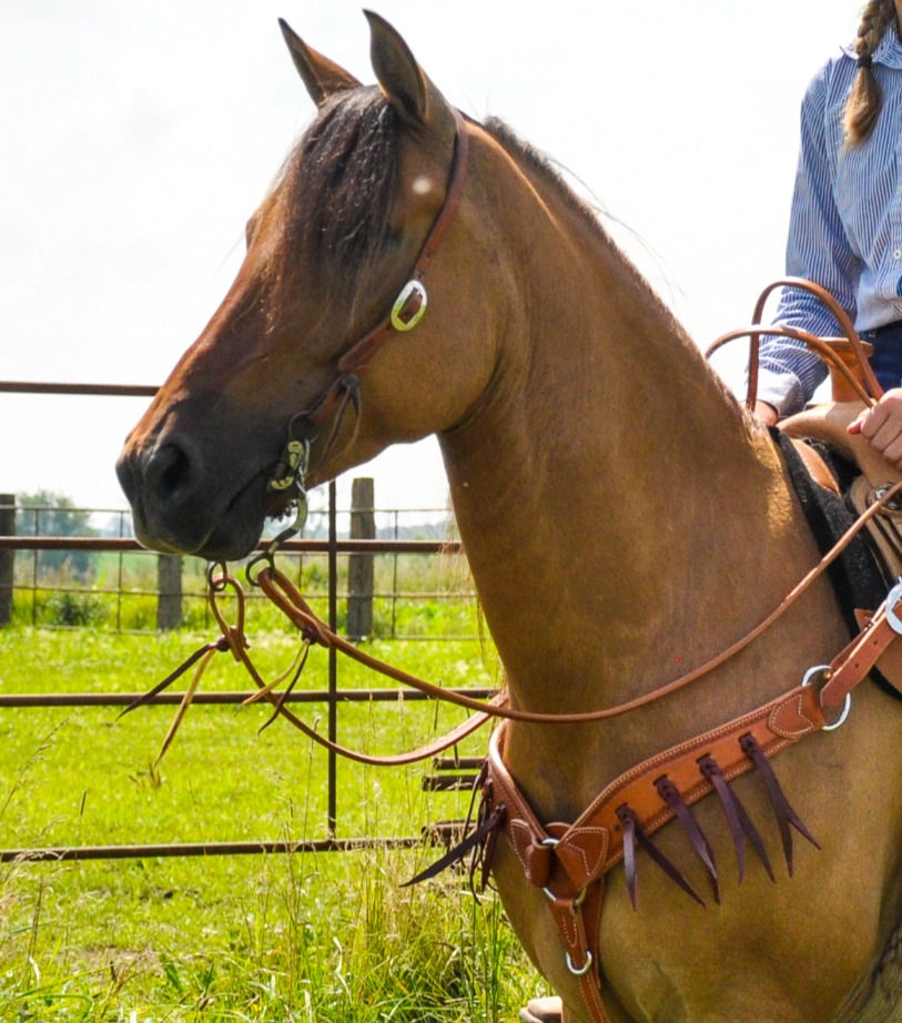 Thumbnail: Russet Border Tooled w/ Latigo Bleed Knots Breast Collar