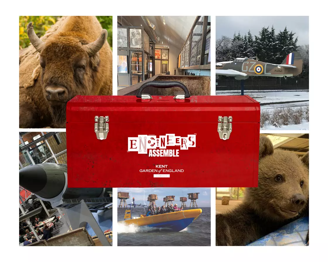 visitkent reconnect-stem-collage.webp