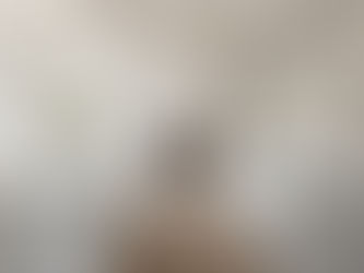 Top Home Services in Tampa Bay