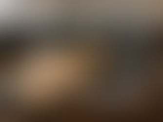 Belgian Malinois with cat