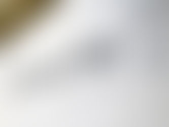 La Forêt de l'Âme, 2025