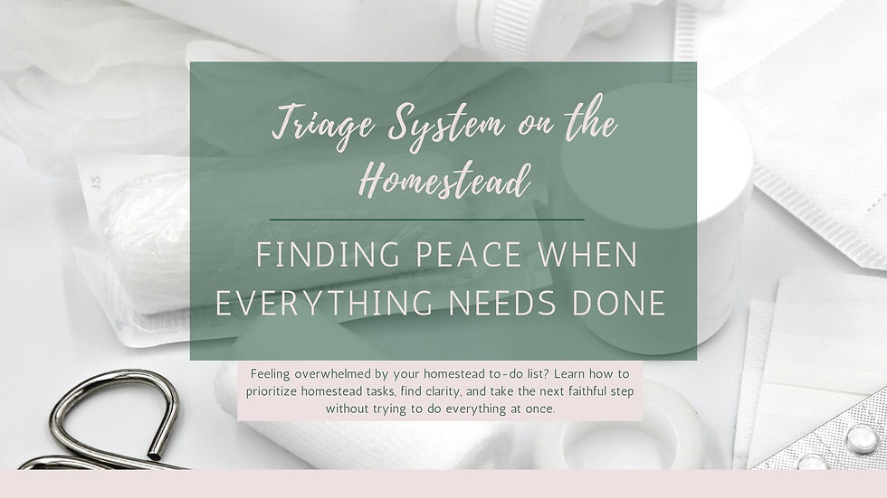 Triage System on the Homestead: Finding Peace When Everything Needs Done