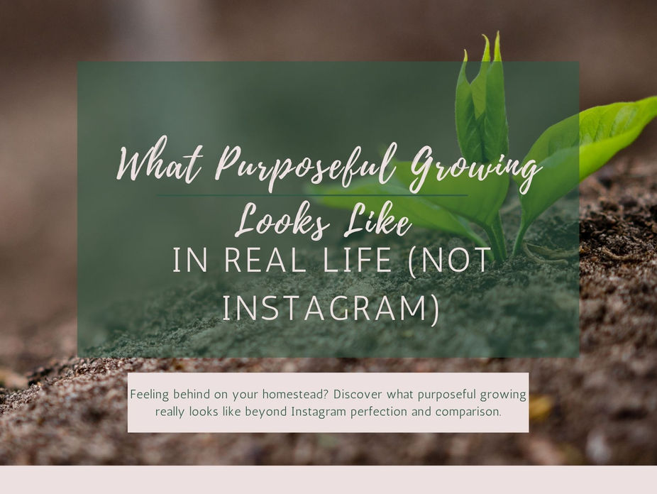 What Purposeful Growing Looks Like in Real Life (Not Instagram)