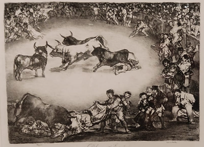 goya06.png