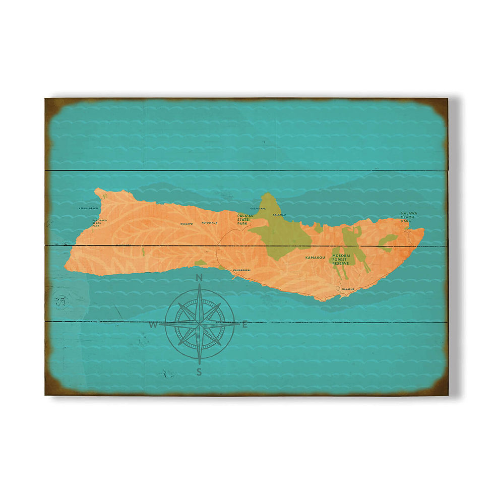Stylized Map of the Island of Molokai | Shop Vintage Maps