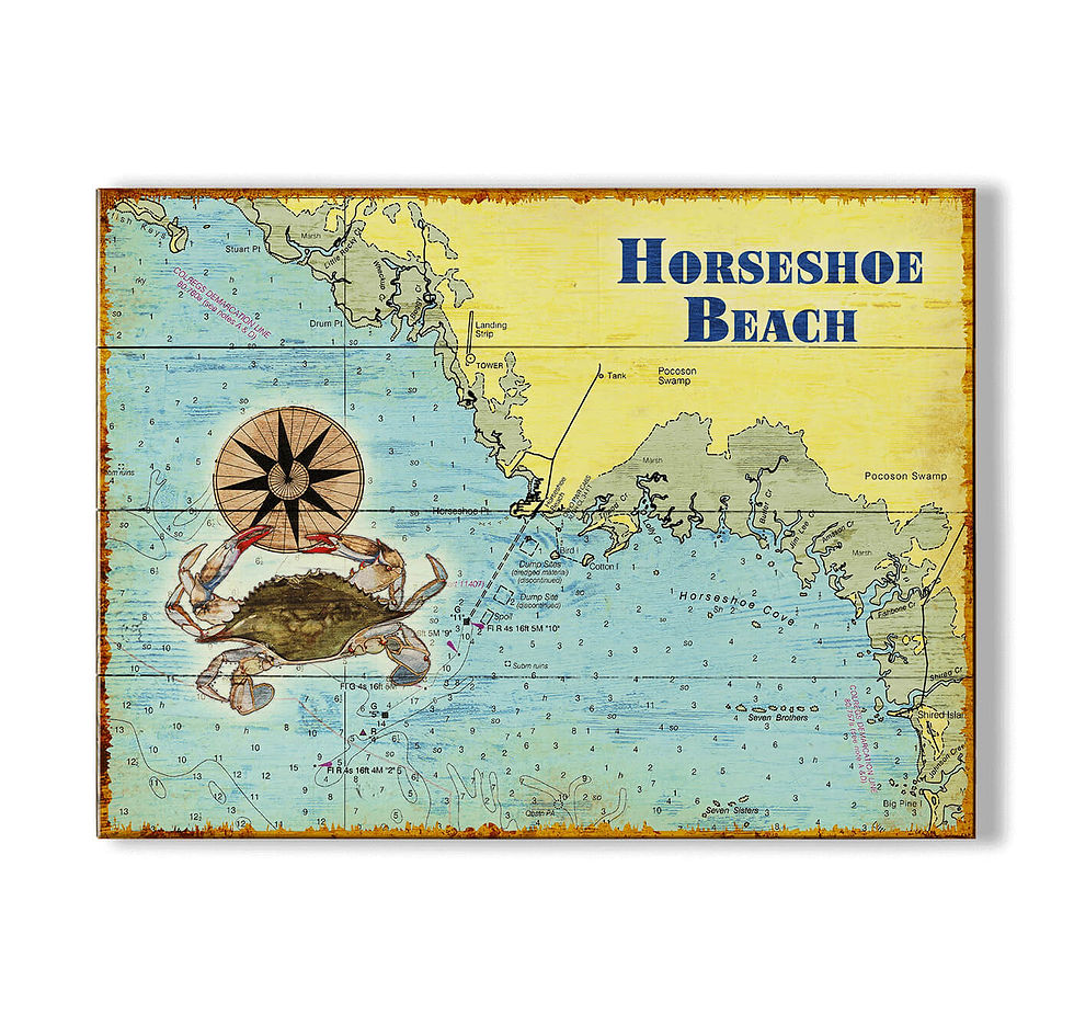 Horseshoe Beach Florida Shop Vintage Maps