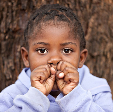 Action décembre 2021: Planter un arbre fruitier pour Noël à la place d'abattre un sapin! 