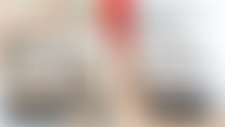 Libro de impuestos para entender los impuestos en México si vives en EU