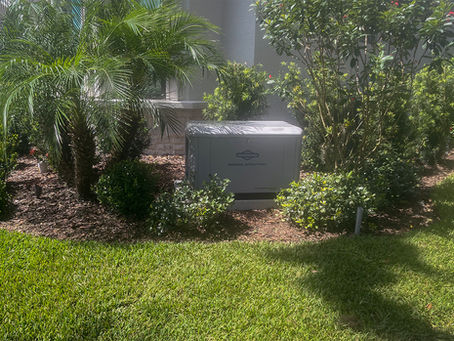 Generator in the bushes