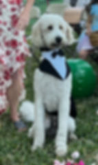 IMG_5790_edited.jpg