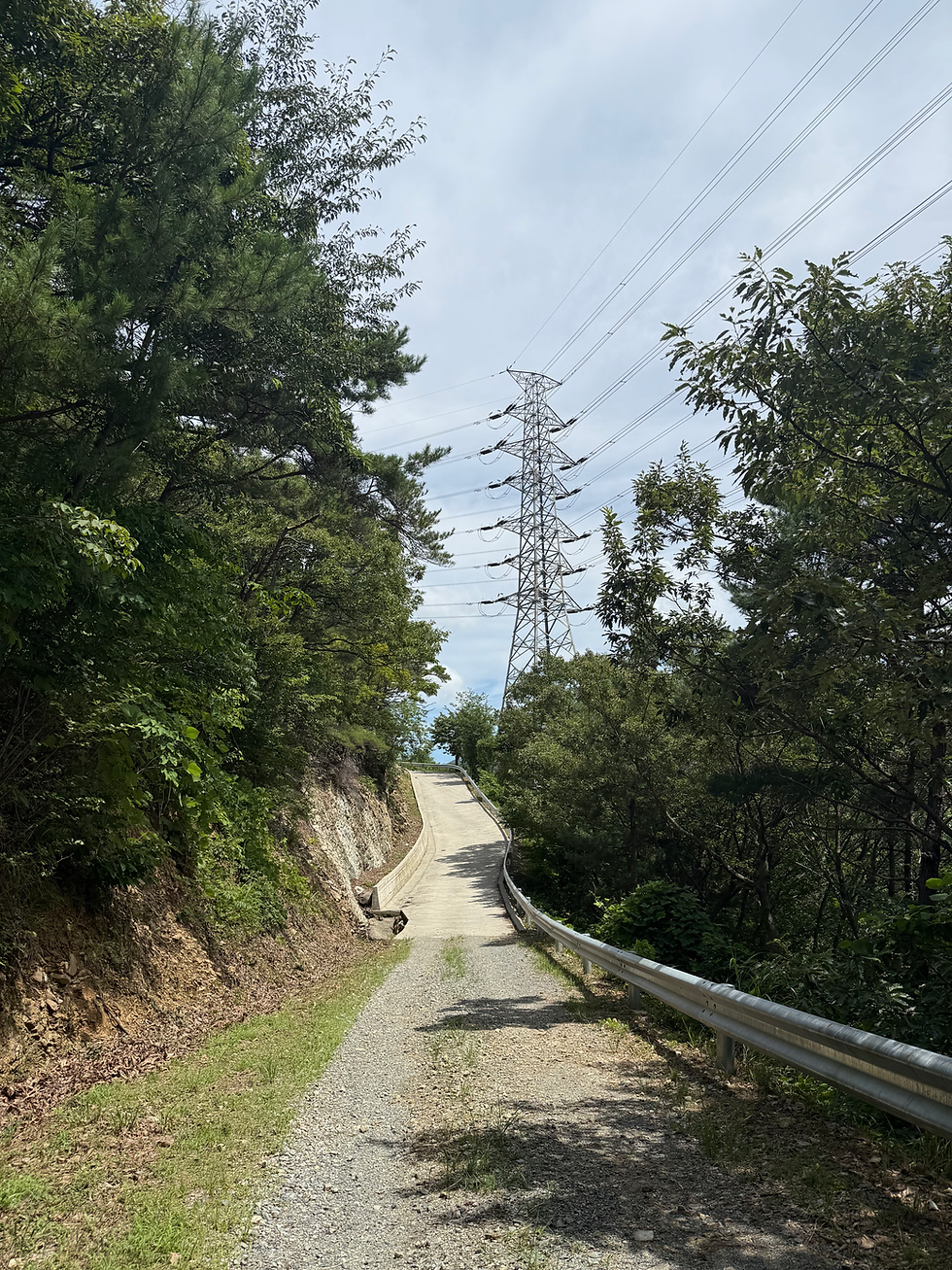 회동 저수지 근처의 산길, 부산 금정구 (July 2025)