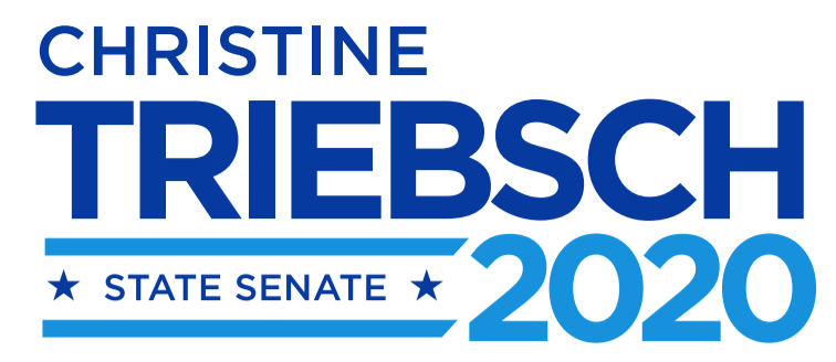 Vote Christine For Sd 32 2020 Georgia State Senate