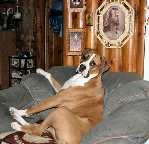 walter5.jpg