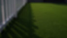 Healthy, weed free lawn