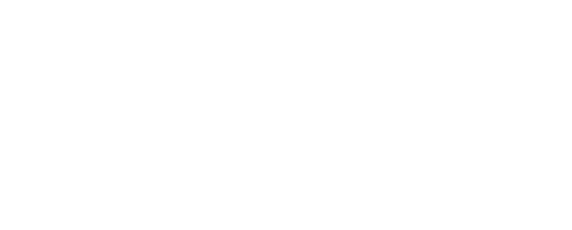 לוגו ניו קיצ'ן