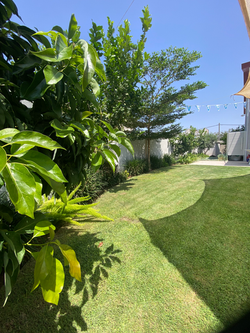 גינה בהרצליה