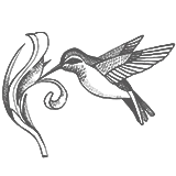 לוגו נוף בראשית
