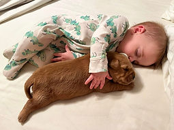 608534854_1415048293745027_5549673046726