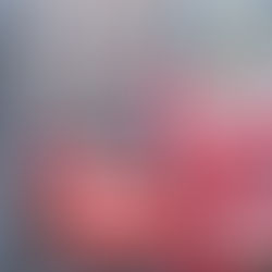 Sciopero scuola il 7 maggio, si fermano gli istituti tecnici. FLC CGIL: “Riforma da ripensare”