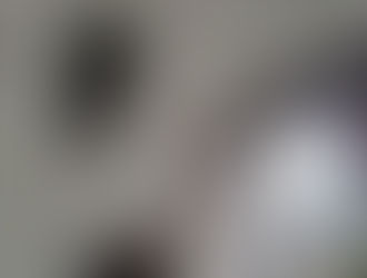 Crolla il controsoffitto in una scuola a La Spezia: lavori fatti nel 2025, accertamenti in corso