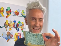 SCHETTINI : “50 MILIARDI DI BATTERI PER CM CUBO NELLA SPUGNA DEI PIATTI, MA GRAZIE ALLA FISICA C’È UN MODO PER PULIRLA A FONDO, SCOPRIAMO QUALE”