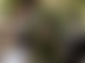 STRAGE DI CAPACI, IL RICORDO DELLE ALTE CARICHE DELLO STATO PER COMBATTERE LA MAFIA