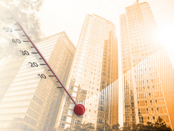 IVANA BARBACCI: L' EMERGENZA CLIMATICA È UN' EMERGENZA INCONTESTABILE