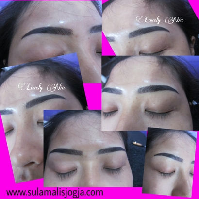 Alis Tipe 4D (SEMI NATURAL)