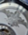 LC2 Caseback Vanda.jpeg