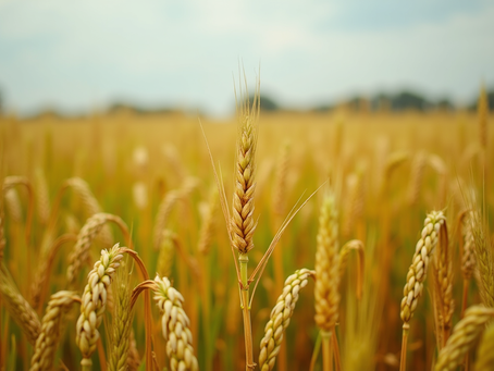 Top Resources for Agricultural Education Success