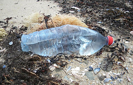Bouteille plastique PET