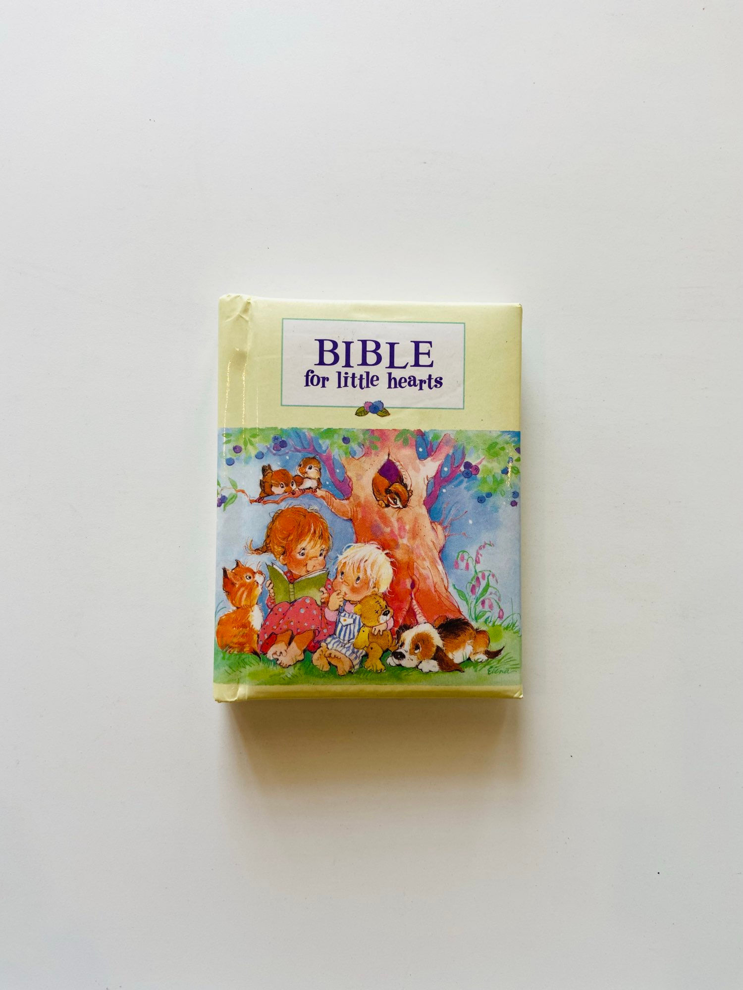 Bible for the little hearts