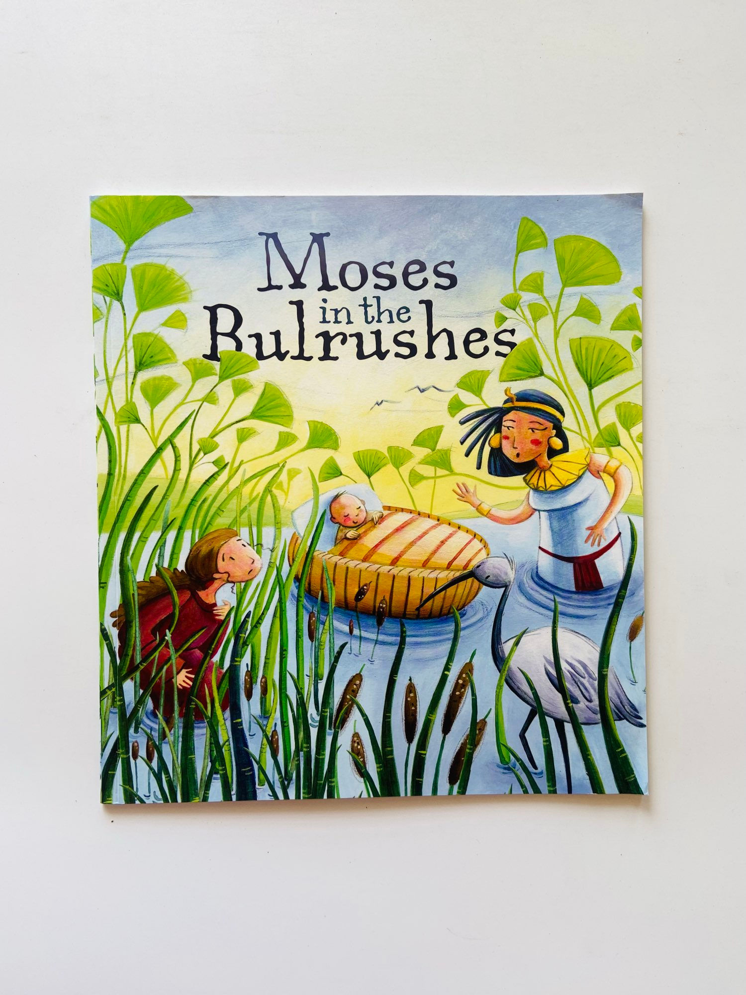 Moses in the bulrushes