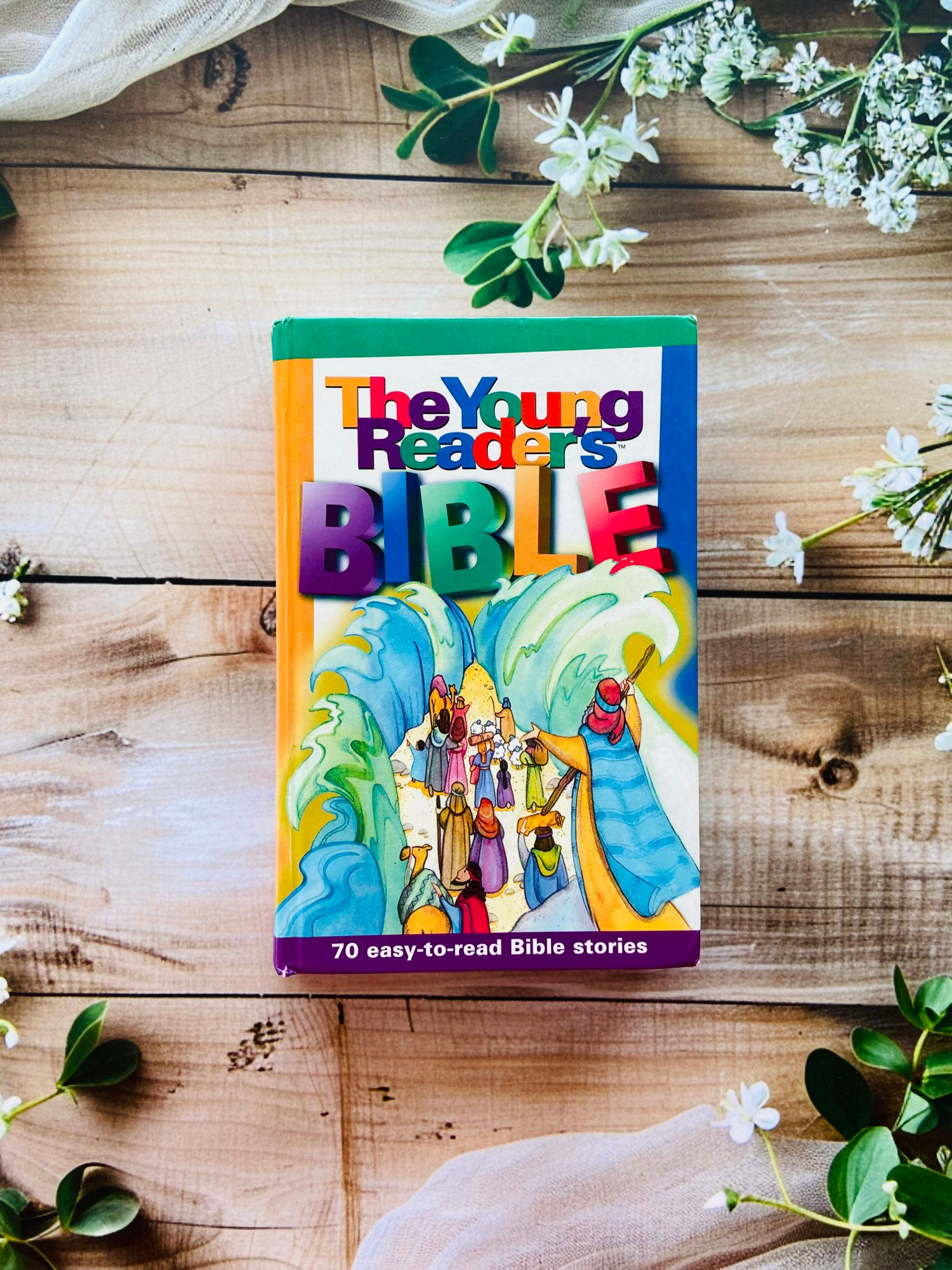 The Young Reader's Bible